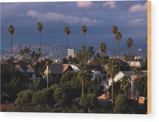 Outdoors Wood Print featuring the photograph Los Angeles, California by Larry Brownstein