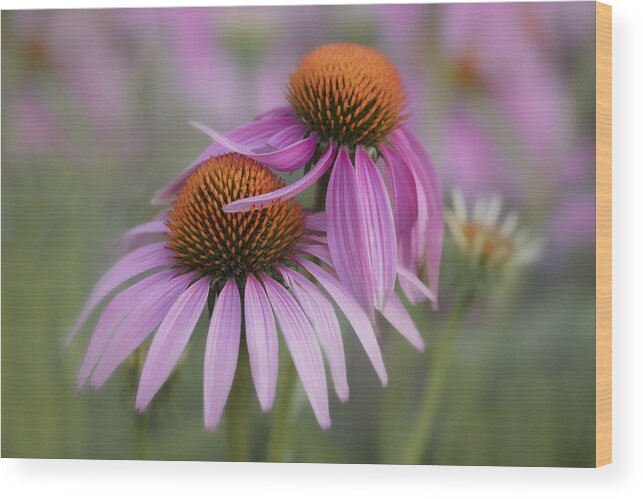 Flowers Wood Print featuring the photograph Love In The Garden by Linda D Lester