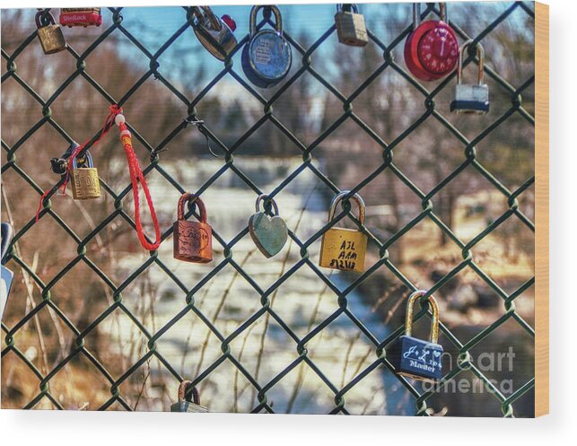  #locksoflove #love #locks #fence #romance #falls #waterfalls #waterfall #williamsvilleny #glenfallspark #iloveny #wunderlust #photography #photographer #instagram #picoftheday #imageoftheday #photo #hdr #highdynamicrange #skylum #aurorahdr2019 Wood Print featuring the photograph Love Locks by Jim Lepard