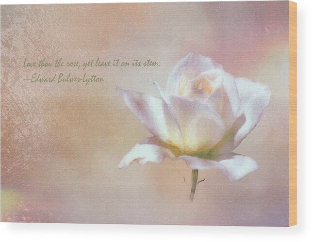 Linda Brody Wood Print featuring the digital art Love Thou the Rose by Linda Brody
