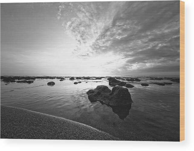Beach Wood Print featuring the photograph Low Tide by Steve DaPonte