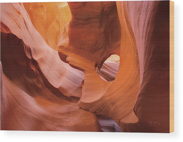 Antelope Canyon Wood Print featuring the painting Lower Antelope Canyon II by Alan Majchrowicz