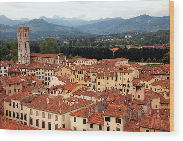 Outdoors Wood Print featuring the photograph Lucca, Italy by Deborah Lynn Guber