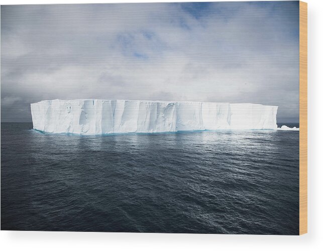 South Atlantic Ocean Wood Print featuring the photograph Luminous Iceberg by Mlenny