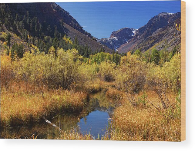 Lundy Canyon Wood Print featuring the photograph Lundy's Magic by Tassanee Angiolillo