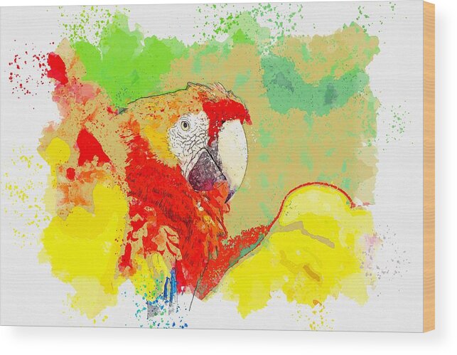 Macaw Wood Print featuring the painting Macaw , Costa Rica - watercolor by Ahmet Asar by Celestial Images