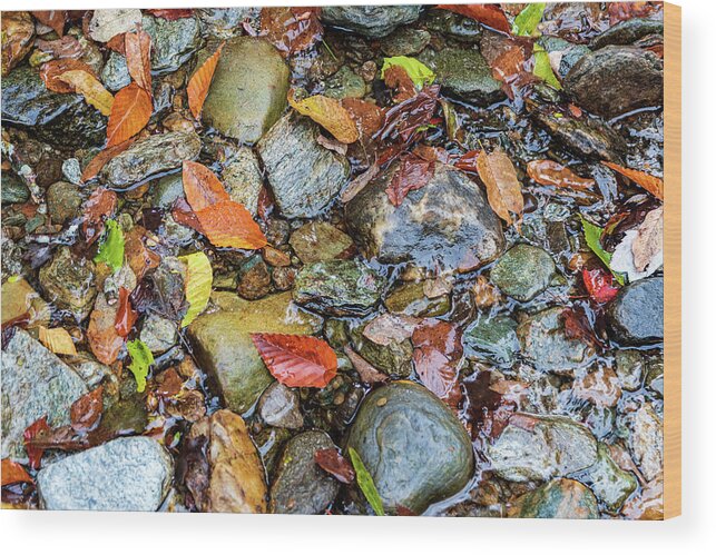 Landscape Wood Print featuring the photograph Mad River Autumn Leaves by Chad Dikun