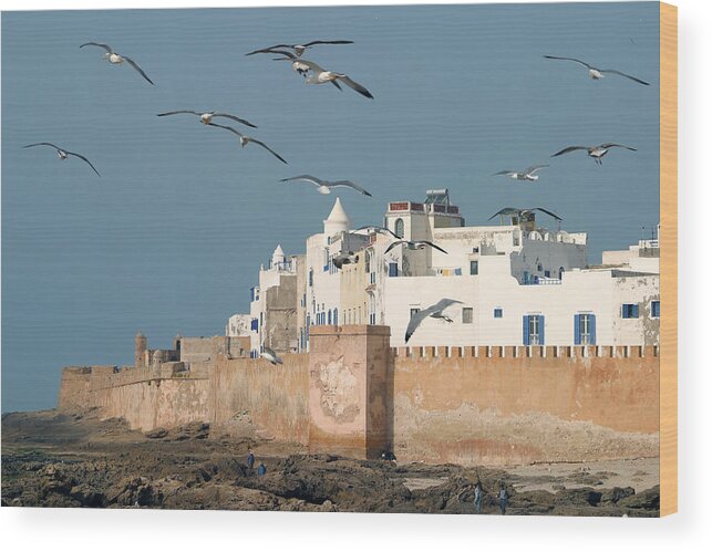 Agadir Wood Print featuring the photograph Magic Essaouira by Lucgillet