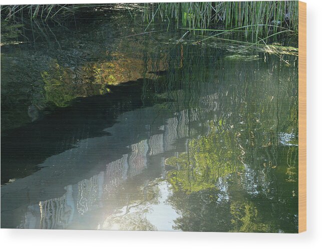 Pond Wood Print featuring the photograph Magic Light by Donna Blackhall