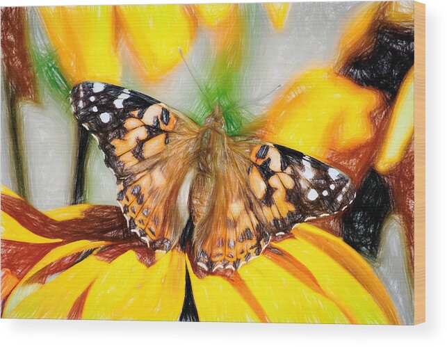 Cosmopolitan Wood Print featuring the photograph Magnificent Painted Lady Butterfly by Don Northup