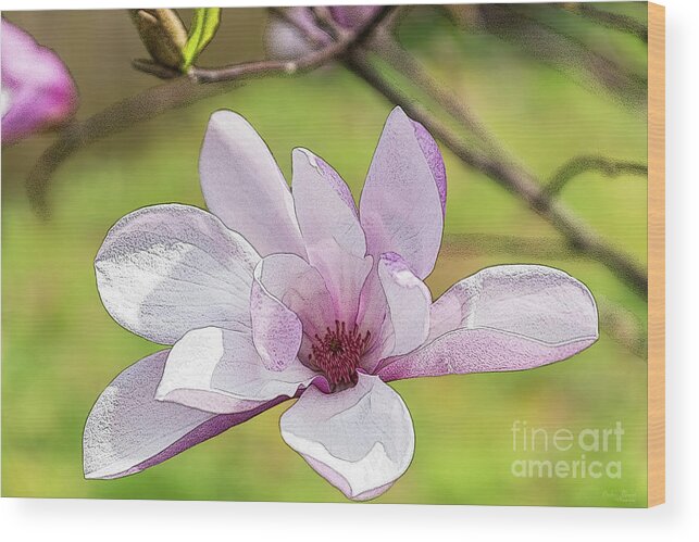 Magnolia Wood Print featuring the mixed media Magnolia Bloom Painterly by Jennifer White