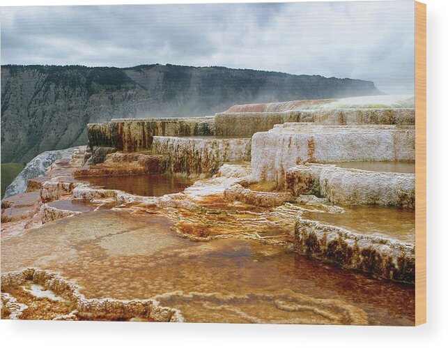 Palette Wood Print featuring the photograph Mammoth Springs by Ronnie And Frances Howard
