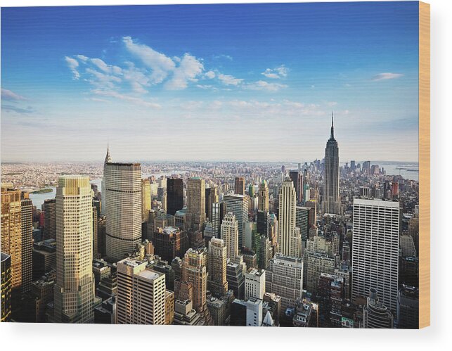 Viewpoint Wood Print featuring the photograph Manhattan Summer In The City by Mlenny