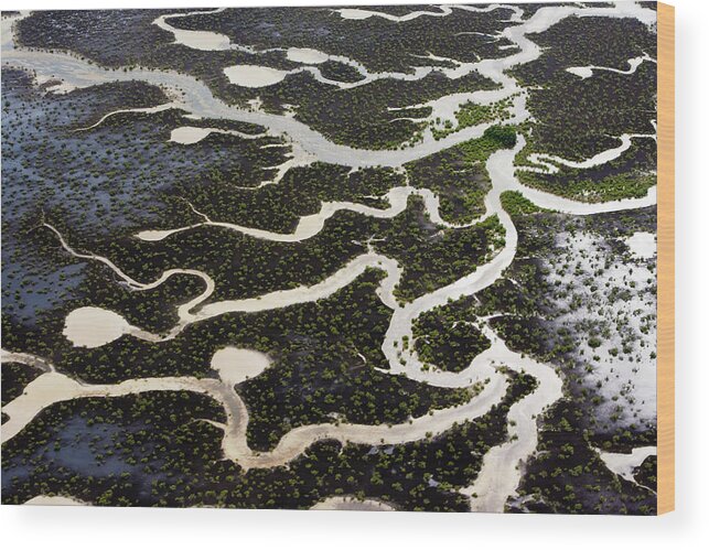 Scenics Wood Print featuring the photograph Marshes Viewed From The Air On The by Mint Images - Art Wolfe