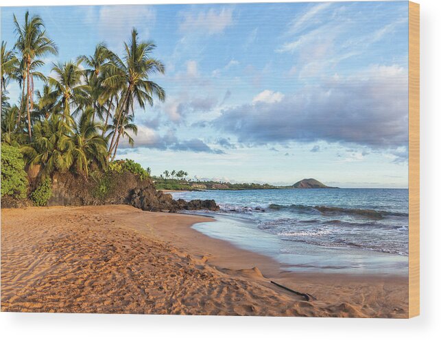 Secret Beach Wood Print featuring the photograph Maui's Secret by Chris Spencer