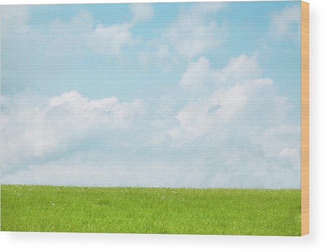 Scenics Wood Print featuring the photograph Meadow And Blue Sky by Ultra.f
