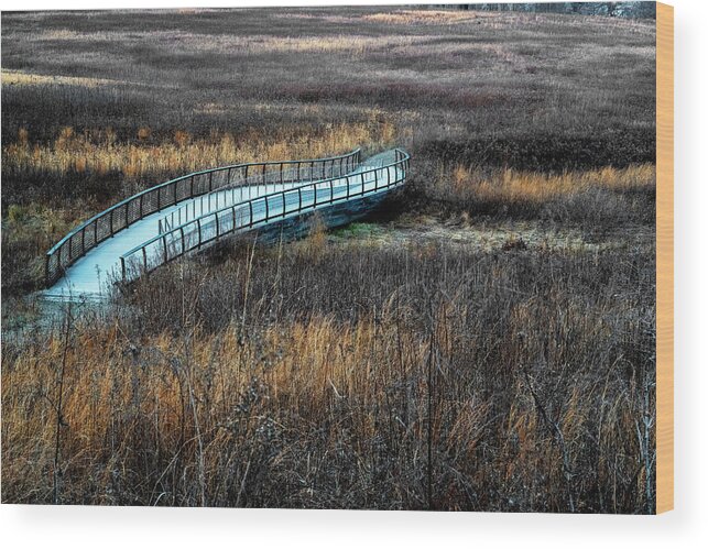 Rose Tree Park Media Pennsylvania Wood Print featuring the photograph Meadow Bridge by Tom Singleton