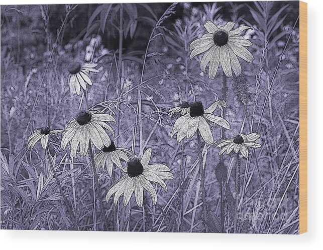 Daisies Wood Print featuring the photograph Meadow Expressions 2 by Mike Eingle
