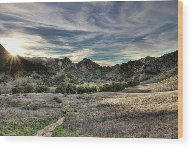 Scenics Wood Print featuring the photograph Meadow In Winters Day by Chris Valle