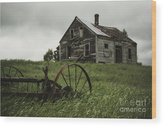 Empty Wood Print featuring the photograph Memories Lost by Shaunl