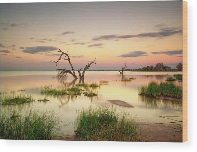 Tranquility Wood Print featuring the photograph Menindee Lakes by I Am A Landscape Photographer Based In Sydney Australia