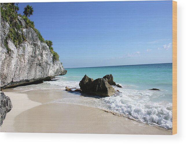 Eco Tourism Wood Print featuring the photograph Mexican Lagoon by Arsenik