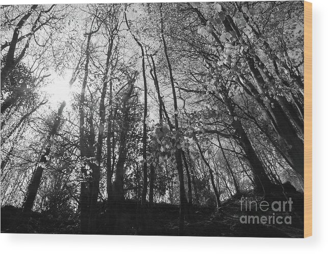 Donegal On Your Wall Wood Print featuring the photograph Mid Morning Buncrana Donegal bw by Eddie Barron