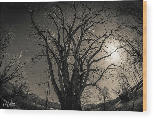 Night Wood Print featuring the photograph Midnight Dreary by Phil S Addis