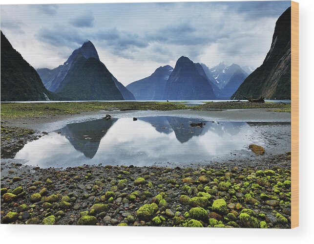 Scenics Wood Print featuring the photograph Milford Sound by Raimund Linke