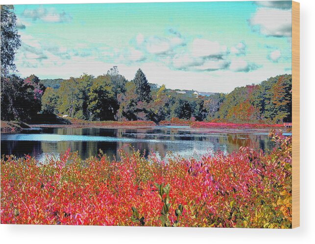 Ashland Wood Print featuring the digital art Mill Pond in September by Cliff Wilson