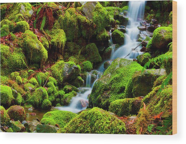 Deebrowningphotography.com Wood Print featuring the photograph Mini Cascading Waters by Dee Browning