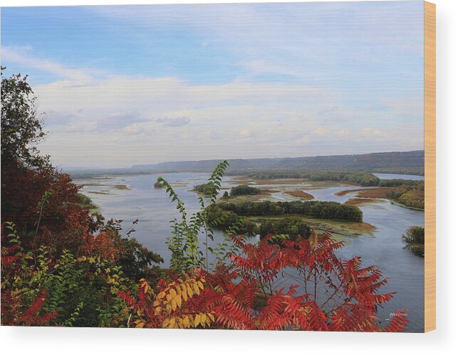 Fall Wood Print featuring the photograph Mississippi River in the Fall by Gary Gunderson