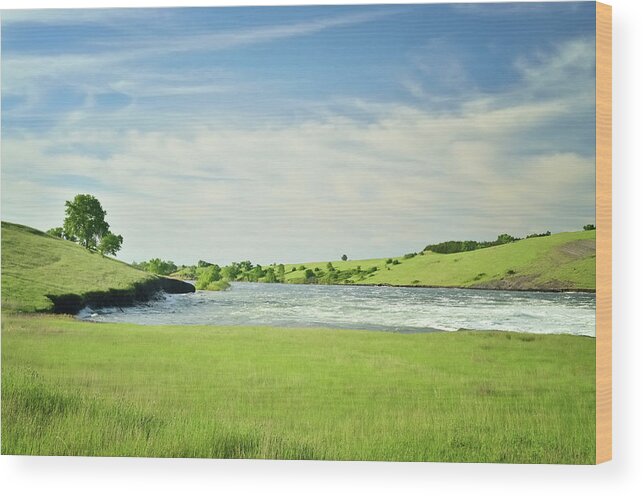 Grass Wood Print featuring the photograph Missouri River Flowing Towards Pierre by Joesboy
