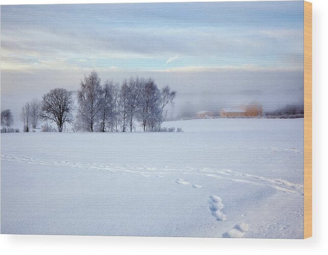 Shadow Wood Print featuring the photograph Mist And Sun In December by Ekely