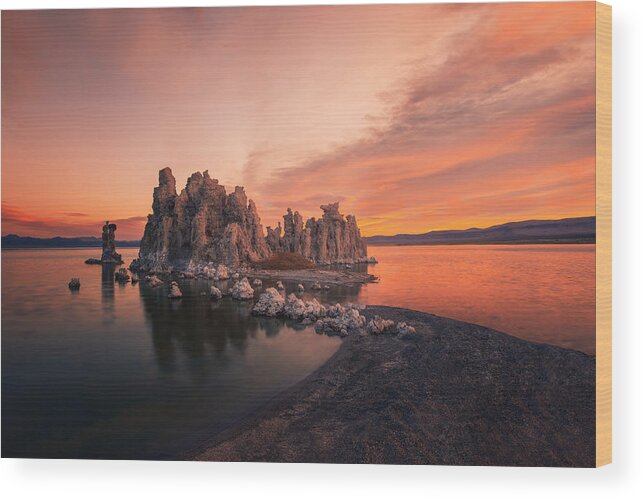 Morning Wood Print featuring the photograph Mono Lake Morning Light by Leah Xu