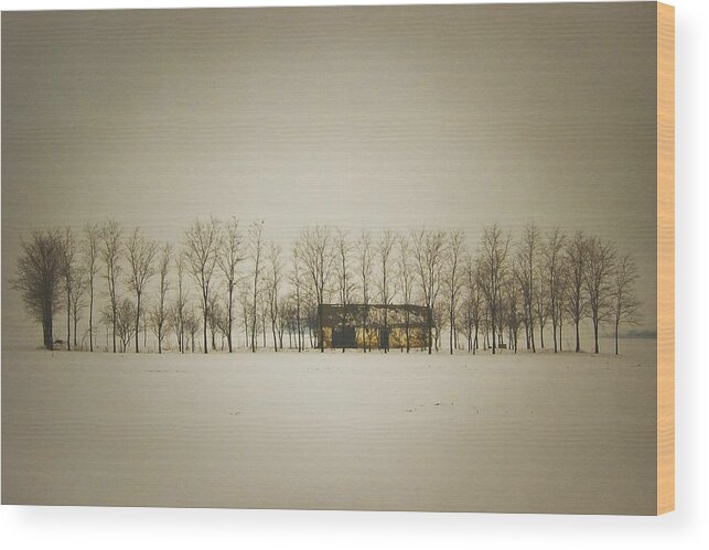 Abandoned Wood Print featuring the photograph Monotony by Robert Semnic