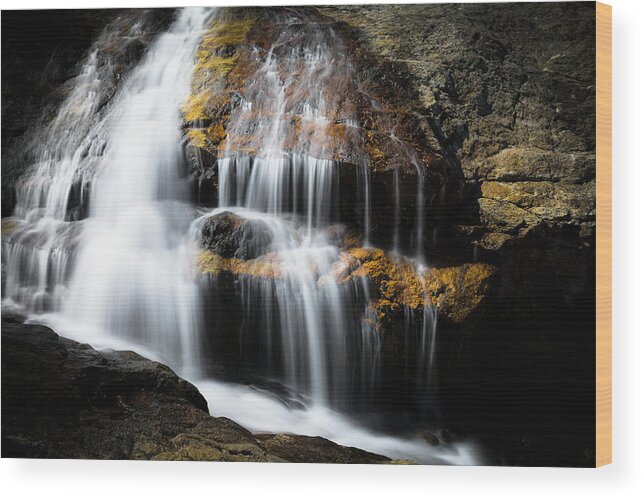 Waterfalls Wood Print featuring the photograph Monte Cristo Creek Falls by The Forests Edge Photography - Diane Sandoval