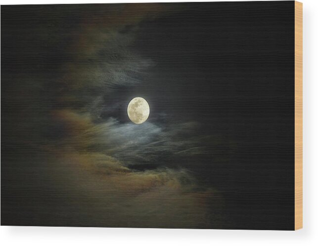 Moon Wood Print featuring the photograph Moon Dog by Stoney Lawrentz