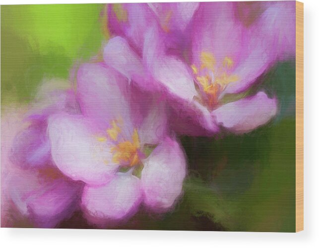 Flower Wood Print featuring the photograph Apple Blossoms by Ginger Stein