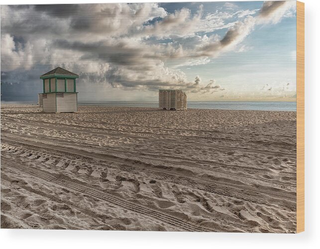 Morning Wood Print featuring the photograph Morning in Miami by Alison Frank