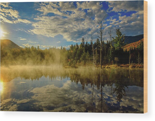 Prsri Wood Print featuring the photograph Morning Mist, Wildlife Pond by Jeff Sinon