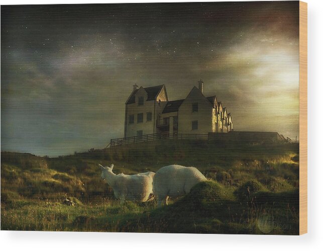 Isle Of Skye Wood Print featuring the photograph Morning on Skye by Cybele Moon