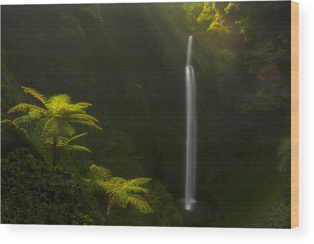Indonesia Wood Print featuring the photograph Morning Stream by Jerrywangqian
