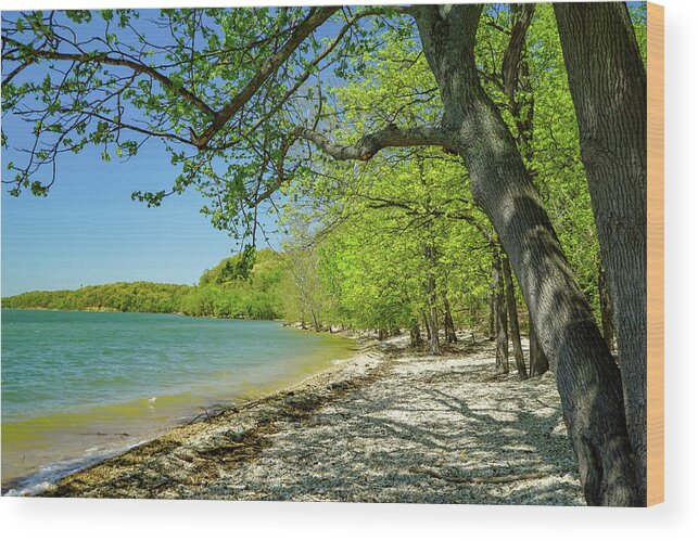 Tree Wood Print featuring the photograph Moss Creek Beach by Susan Rydberg