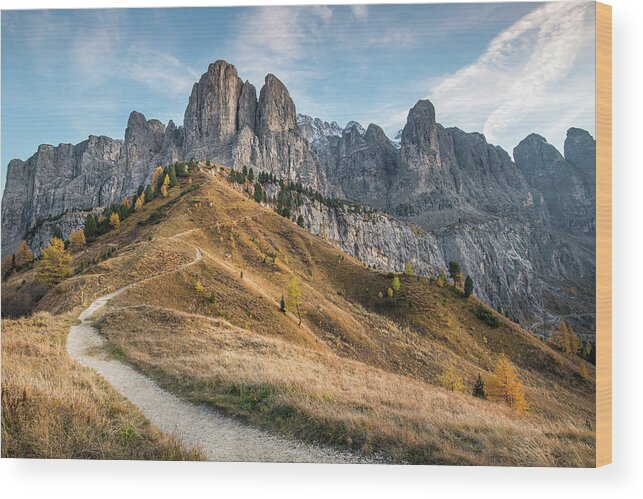 Dolomites Wood Print featuring the photograph Mountain landscape of the picturesque Dolomites at Passo Gardena by Michalakis Ppalis