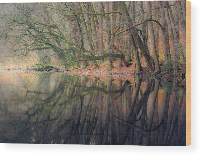 Forest Wood Print featuring the photograph Mourn by Alexander Kunz
