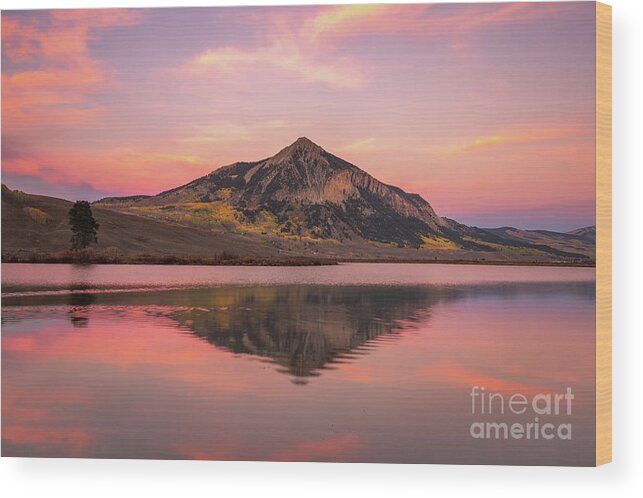 Crested Butte Wood Print featuring the photograph Mt Crested Butte Reflection by Ronda Kimbrow