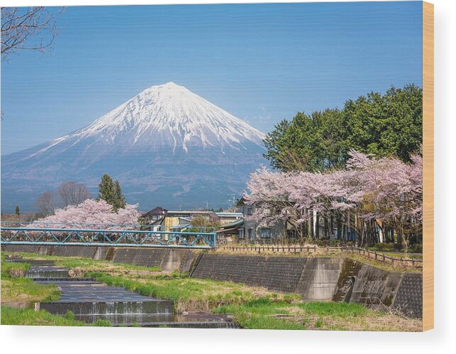 Landscape Wood Print featuring the photograph Mt. Fuji Viewed From Rural Shizuoka by Sean Pavone