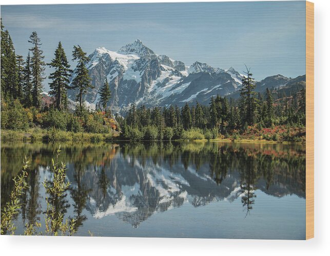 Mt. Shuksan Wood Print featuring the photograph Mt. Shuksan in the Fall by E Faithe Lester