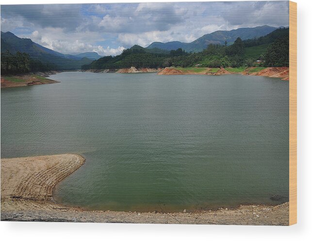 Tranquility Wood Print featuring the photograph Munnar, Kerala by Jayk7